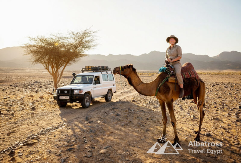 Настоящий оазис, каньоны и бедуинская семья-45