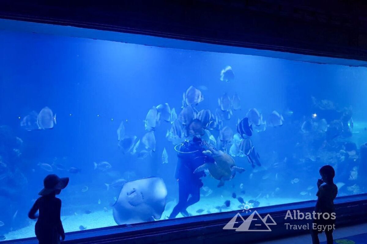 В Москве прорвало 24-метровый аквариум, вода затапливает торговый центр. Видео очевидцев