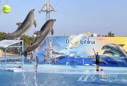 Дельфинарий в Хургаде-46