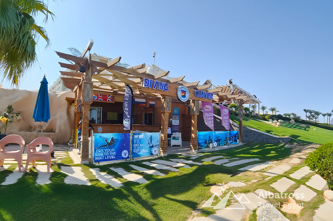 VIP-дайвинг в Сахль-Хашиш-13