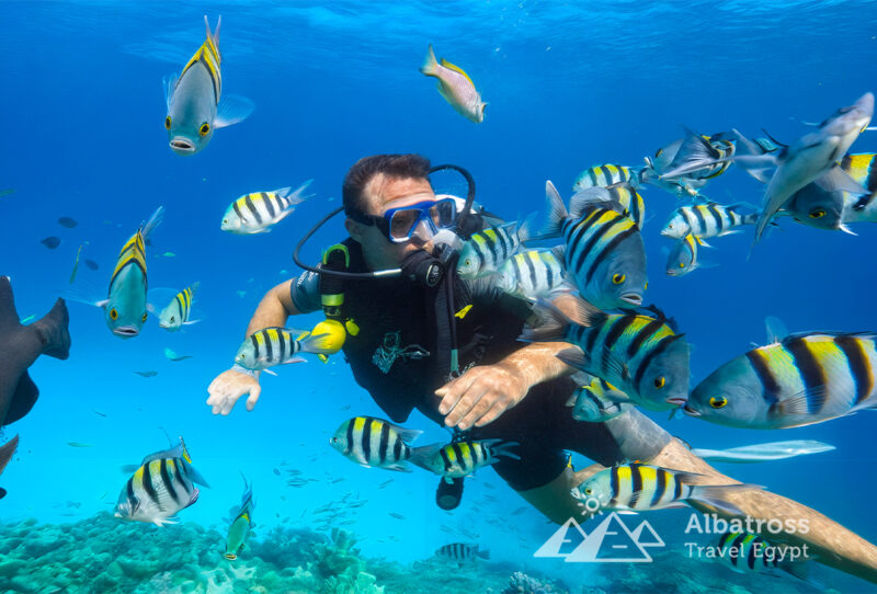 VIP-дайвинг в Сахль-Хашиш-3